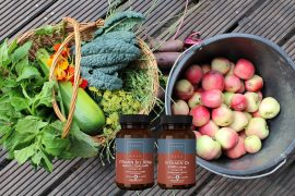 Farverige råvarer til plantebaserede måltider og veganske vitaminer fra Terranova