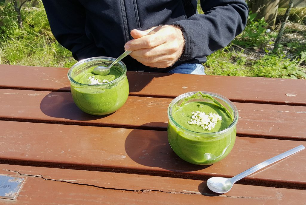Pædagogik mesterværk Grand Sunde grønne smoothies - Veganermor