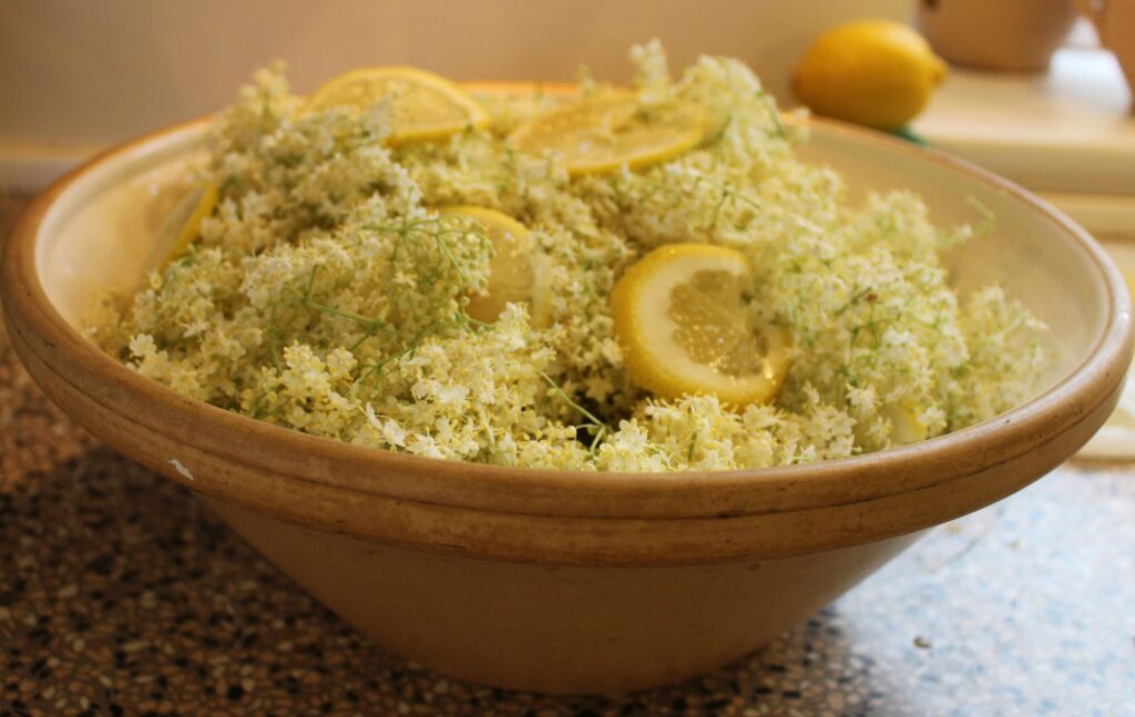 Hyldeblomstskærme og citroner