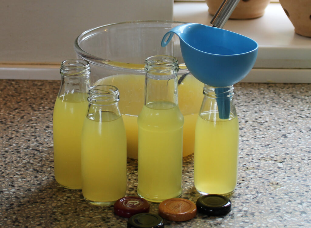 Færdig hyldeblomstdrik