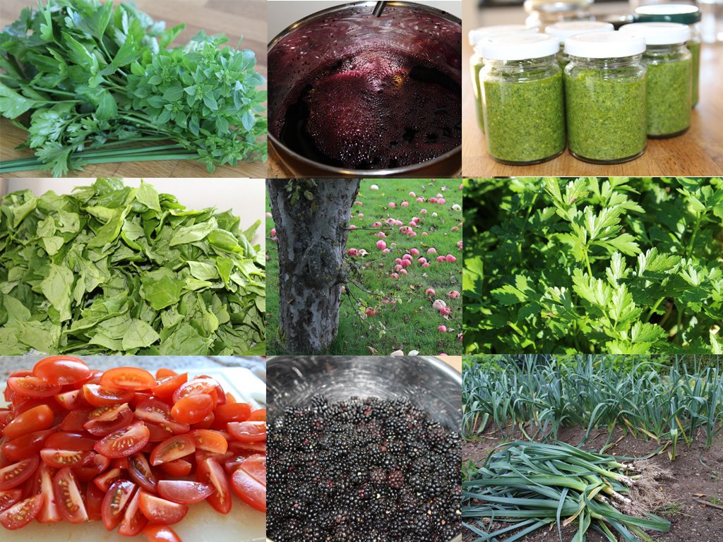 Vegansk vinterforråd