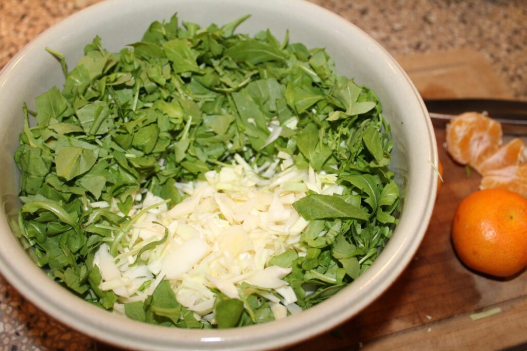 Hvidkålssalat