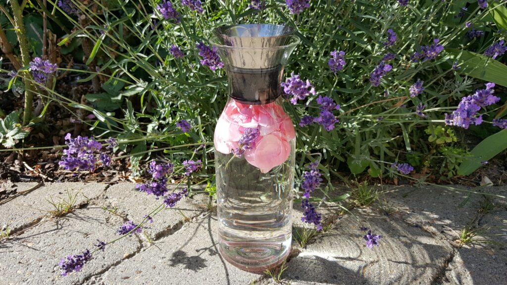 Vand med rosenblade og lavendel