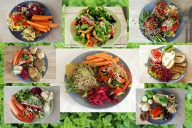 Vegansk frokost collage