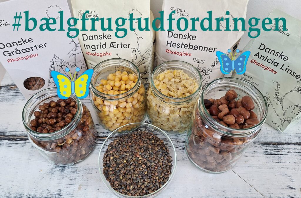 bælgfrugtudfordringen