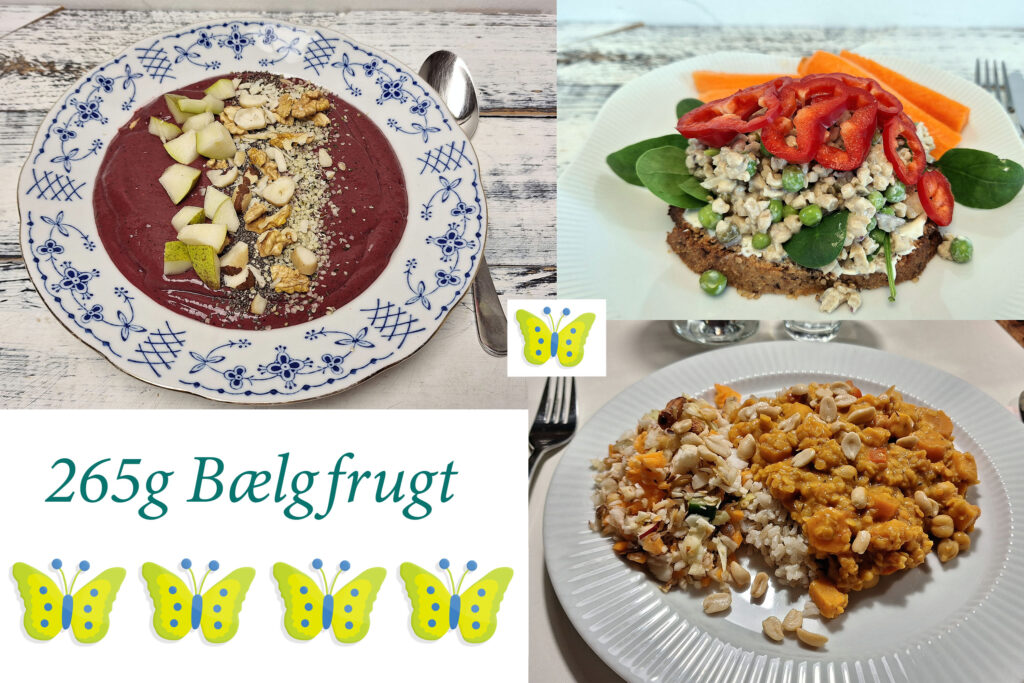 Bælgfrugtudfordringen 2026, fredag