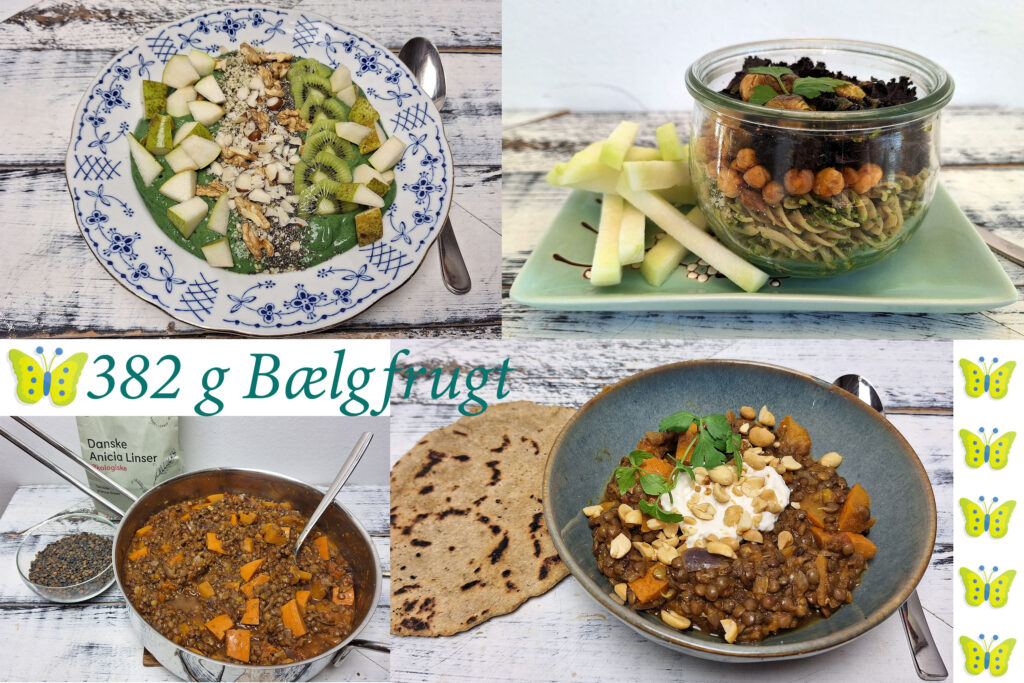 Bælgfrugtudfordringen 2026, onsdag