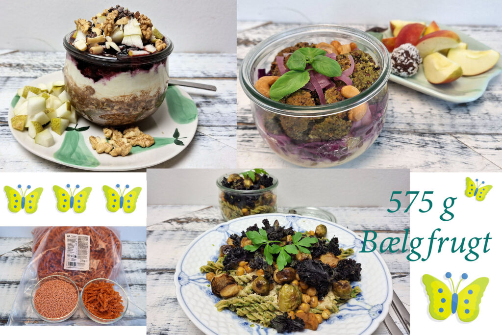 Bælgfrugtudfordringen 2026, tirsdag