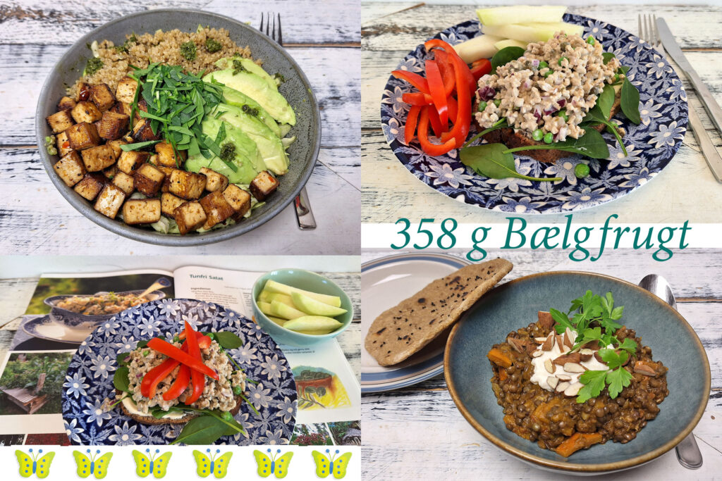 Bælgfrugtudfordringen 2026, torsdag