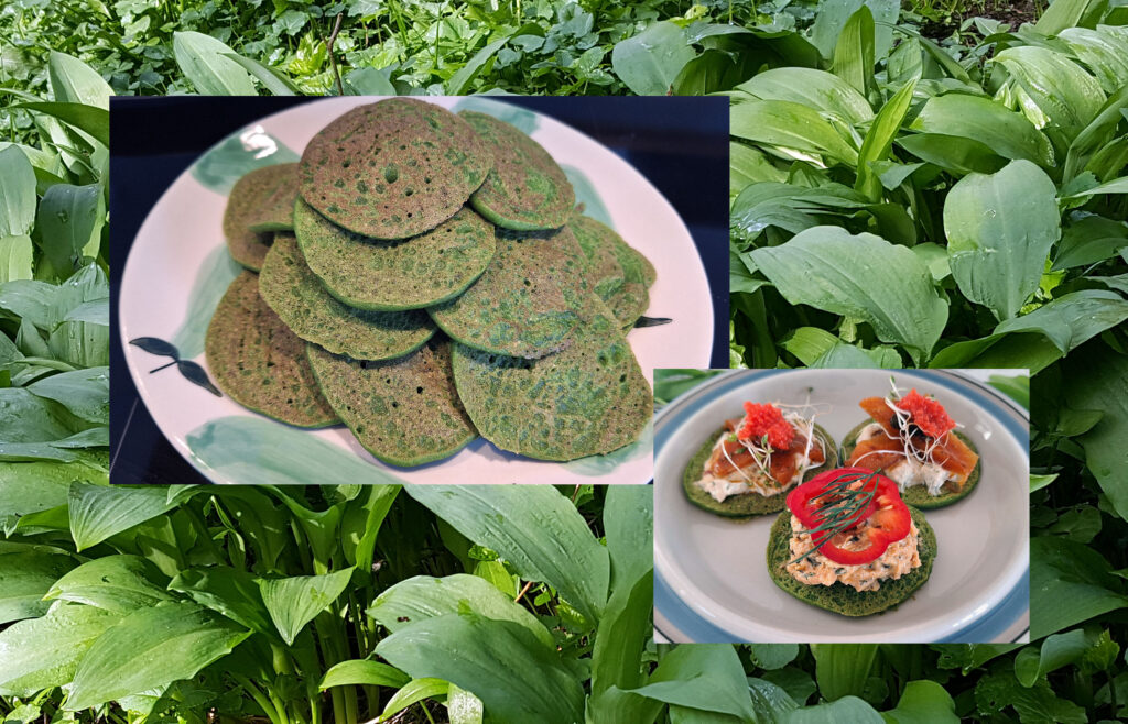 Blinis med ramsløg