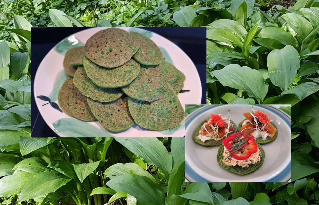 Blinis med ramsløg
