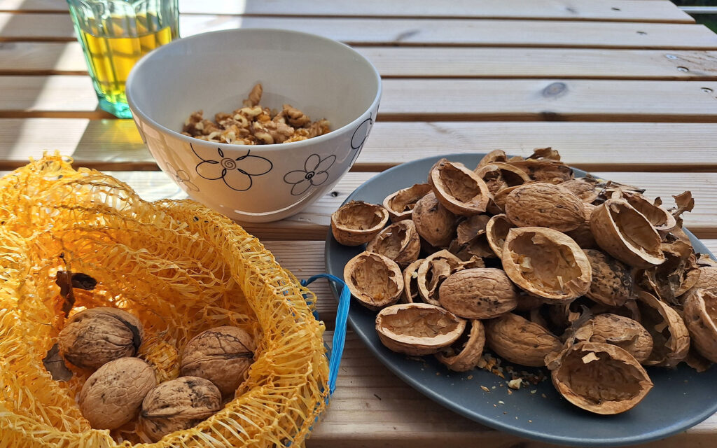 Pesto med soltørrede tomater og valnødder